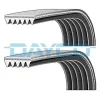 Keilrippenriemensatz DAYCO PVE003