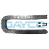 Steuerkette DAYCO TCH1052