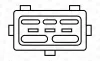 Zündspule 12 V für Zylinder 1 für Zylinder 4 CHAMPION BAEA242 Bild Zündspule 12 V für Zylinder 1 für Zylinder 4 CHAMPION BAEA242
