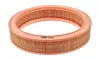 Luftfilter CHAMPION CAF100118R