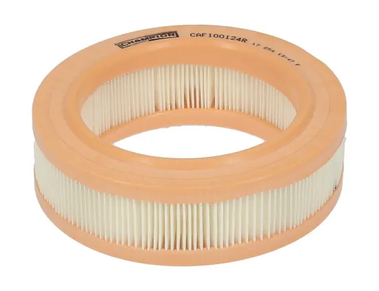 Luftfilter CHAMPION CAF100124R Bild Luftfilter CHAMPION CAF100124R