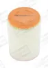 Luftfilter CHAMPION CAF100497C Bild Luftfilter CHAMPION CAF100497C