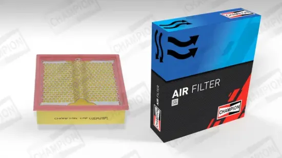 Luftfilter CHAMPION CAF100625P Bild Luftfilter CHAMPION CAF100625P
