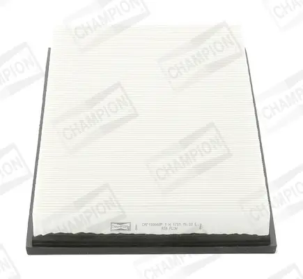 Luftfilter CHAMPION CAF100668P Bild Luftfilter CHAMPION CAF100668P