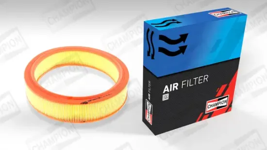 Luftfilter CHAMPION CAF100719R Bild Luftfilter CHAMPION CAF100719R