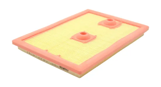 Luftfilter CHAMPION CAF101067P Bild Luftfilter CHAMPION CAF101067P