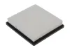 Luftfilter CHAMPION CAF101219P Bild Luftfilter CHAMPION CAF101219P