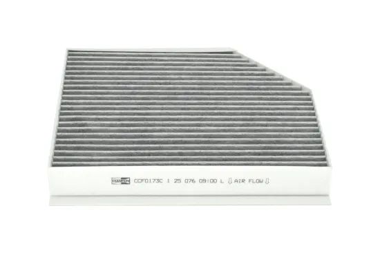 Filter, Innenraumluft CHAMPION CCF0173C Bild Filter, Innenraumluft CHAMPION CCF0173C