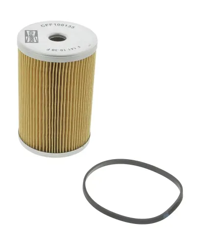 Kraftstofffilter CHAMPION CFF100135 Bild Kraftstofffilter CHAMPION CFF100135