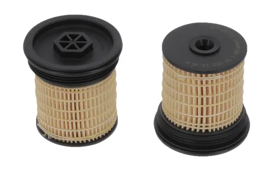 Kraftstofffilter CHAMPION CFF100721 Bild Kraftstofffilter CHAMPION CFF100721