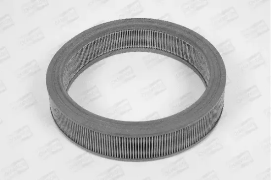 Luftfilter CHAMPION W118/606 Bild Luftfilter CHAMPION W118/606