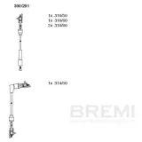 Zündleitungssatz BREMI 300/291