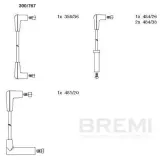 Zündleitungssatz BREMI 300/767