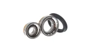 Radlagersatz Vorderachse SKF VKBA 530