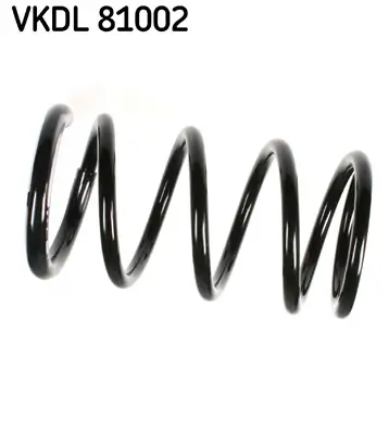 Fahrwerksfeder Hinterachse SKF VKDL 81002