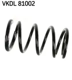 Fahrwerksfeder Hinterachse SKF VKDL 81002