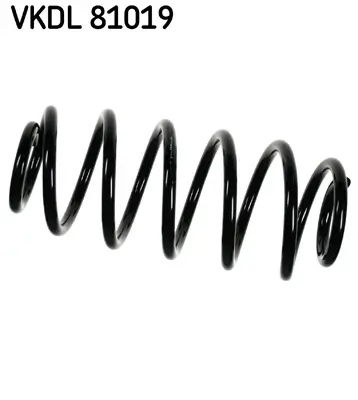 Fahrwerksfeder Hinterachse SKF VKDL 81019