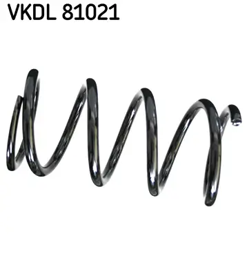 Fahrwerksfeder Hinterachse SKF VKDL 81021