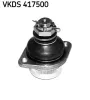 Trag-/F&uuml;hrungsgelenk Hinterachse beidseitig hinten SKF VKDS 417500