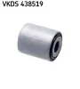 Lagerung, Lenker Hinterachse beidseitig oben unten SKF VKDS 438519