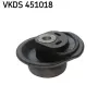 Achskörper Hinterachse SKF VKDS 451018