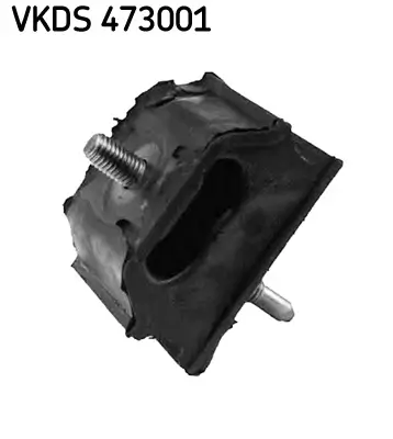 Achskörper Hinterachse hinten SKF VKDS 473001