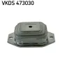 Achskörper Hinterachse hinten SKF VKDS 473030