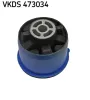 Achskörper Hinterachse SKF VKDS 473034