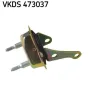 Achskörper Hinterachse SKF VKDS 473037