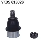 Trag-/Führungsgelenk Vorderachse beidseitig unten SKF VKDS 813028