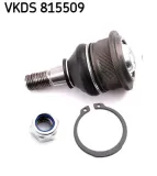 Trag-/Führungsgelenk Vorderachse beidseitig oben SKF VKDS 815509