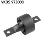 Achskörper Hinterachse SKF VKDS 973000