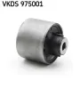 Achskörper Hinterachse SKF VKDS 975001