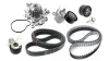 Wasserpumpe + Zahn-/Keilrippenriemensatz SKF VKMC 13001