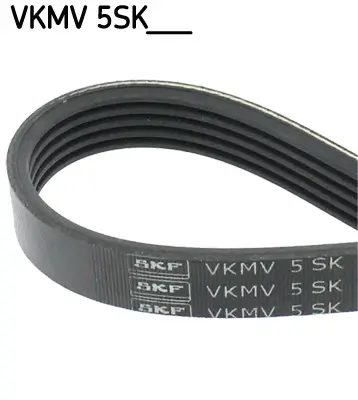 Keilrippenriemen SKF VKMV 5SK748