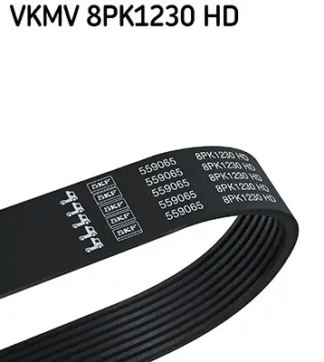 Keilrippenriemen SKF VKMV 8PK1230 HD Bild Keilrippenriemen SKF VKMV 8PK1230 HD