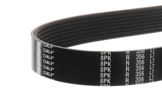 Keilrippenriemen SKF VKMV 8PK1122 R Bild Keilrippenriemen SKF VKMV 8PK1122 R