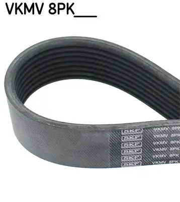 Keilrippenriemen SKF VKMV 8PK2035