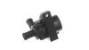 Wasserpumpe, Motorkühlung SKF VKPA 81929 Bild Wasserpumpe, Motorkühlung SKF VKPA 81929