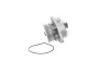 Wasserpumpe, Motorkühlung SKF VKPC 81215 Bild Wasserpumpe, Motorkühlung SKF VKPC 81215