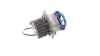 Wasserpumpe, Motorkühlung SKF VKPC 81269 Bild Wasserpumpe, Motorkühlung SKF VKPC 81269