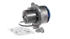 Wasserpumpe, Motorkühlung SKF VKPC 81278-1 Bild Wasserpumpe, Motorkühlung SKF VKPC 81278-1