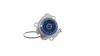 Wasserpumpe, Motorkühlung SKF VKPC 81302 Bild Wasserpumpe, Motorkühlung SKF VKPC 81302