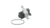 Wasserpumpe, Motorkühlung SKF VKPC 81602 Bild Wasserpumpe, Motorkühlung SKF VKPC 81602