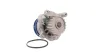 Wasserpumpe, Motorkühlung SKF VKPC 81623 Bild Wasserpumpe, Motorkühlung SKF VKPC 81623