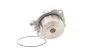 Wasserpumpe, Motorkühlung SKF VKPC 82645 Bild Wasserpumpe, Motorkühlung SKF VKPC 82645