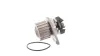 Wasserpumpe, Motorkühlung SKF VKPC 83258 Bild Wasserpumpe, Motorkühlung SKF VKPC 83258