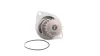 Wasserpumpe, Motorkühlung SKF VKPC 83430 Bild Wasserpumpe, Motorkühlung SKF VKPC 83430