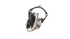 Wasserpumpe, Motorkühlung SKF VKPC 85304 Bild Wasserpumpe, Motorkühlung SKF VKPC 85304