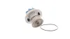 Wasserpumpe, Motorkühlung SKF VKPC 85611 Bild Wasserpumpe, Motorkühlung SKF VKPC 85611
